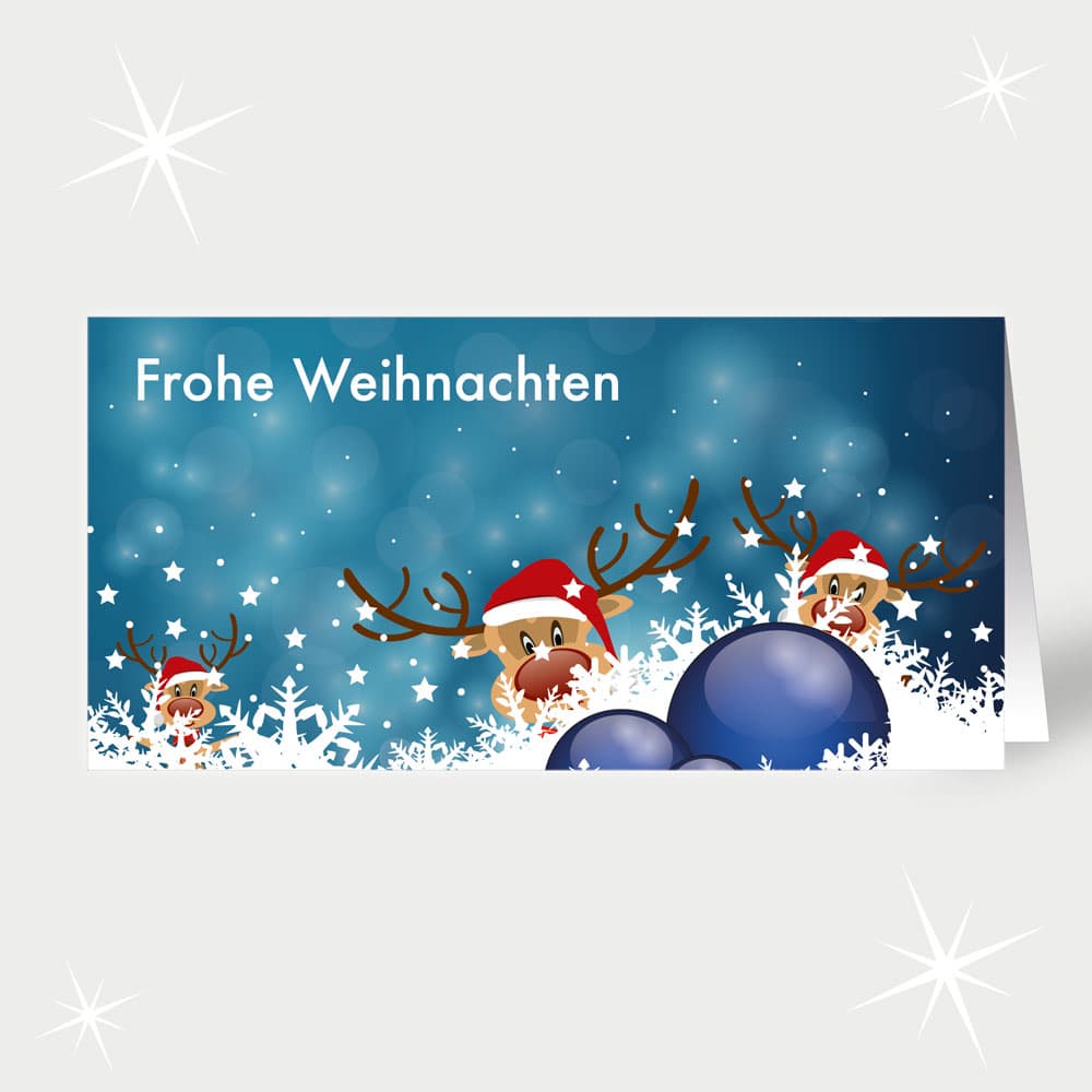 Neugierige Rentiere