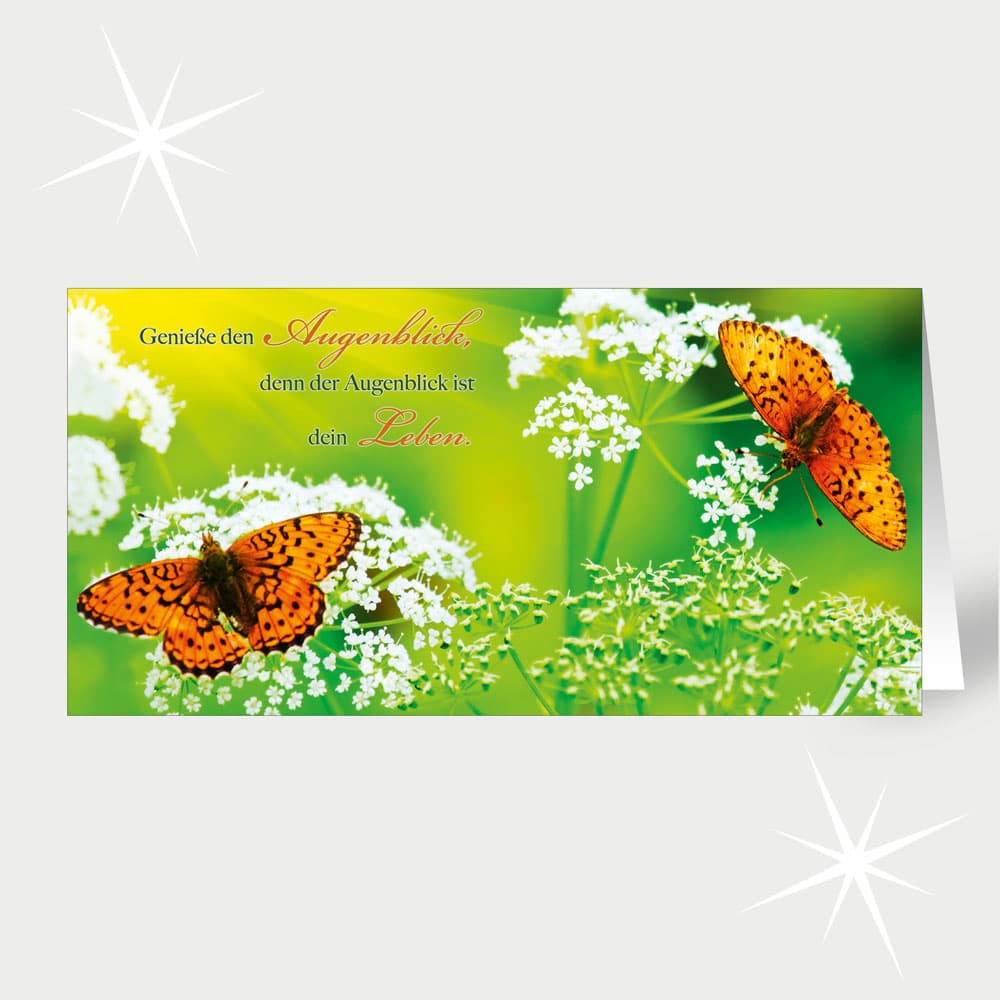 Schmetterlinge
