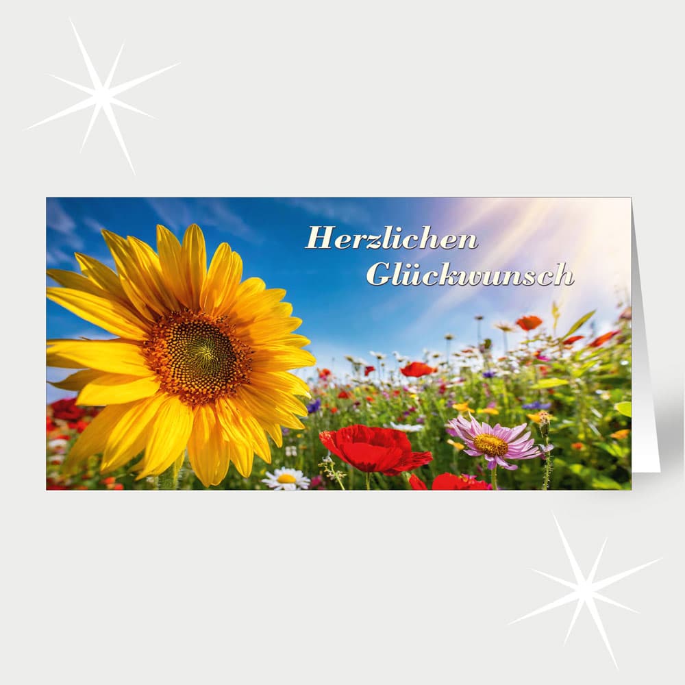 Überstrahlende Sonnenblume