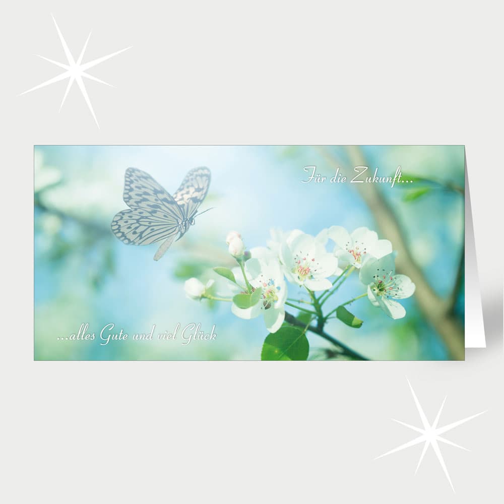 Schmetterling