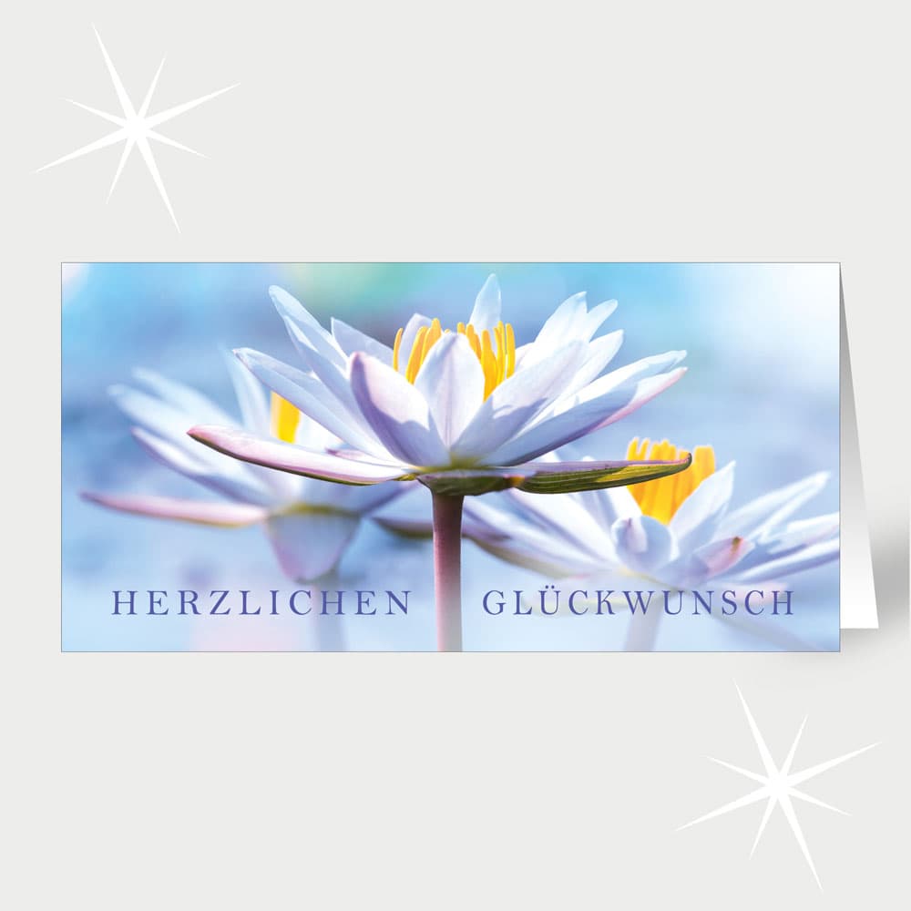 Beruhigendes Glück