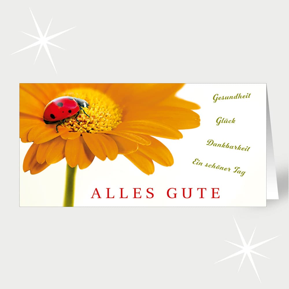 Sonnige Gerbera