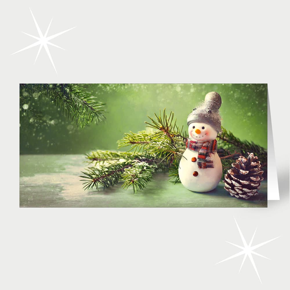Schneemannsfreude
