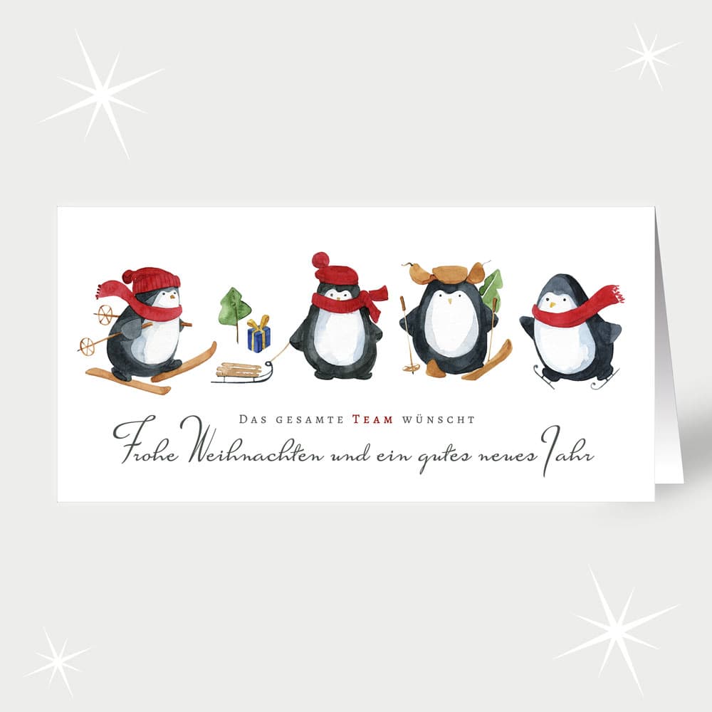 Pinguin Team