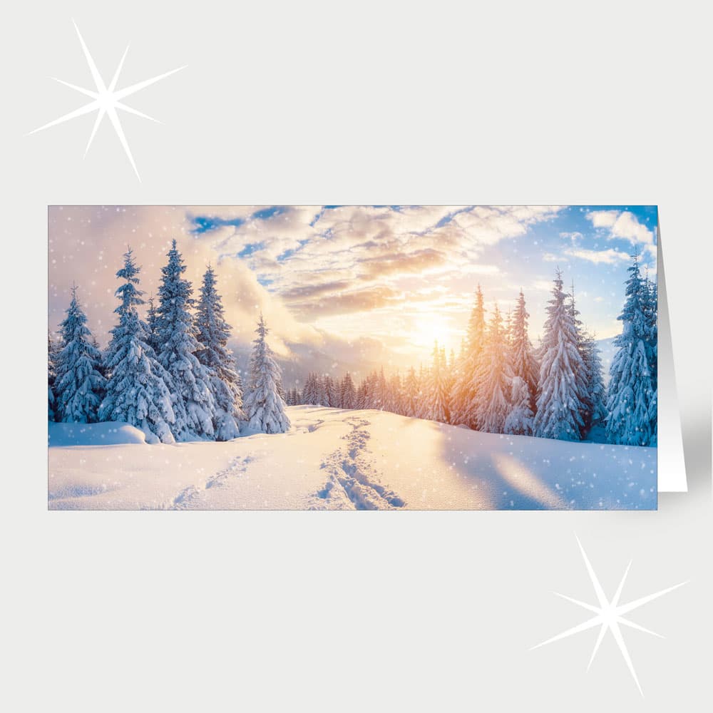 Schneespuren