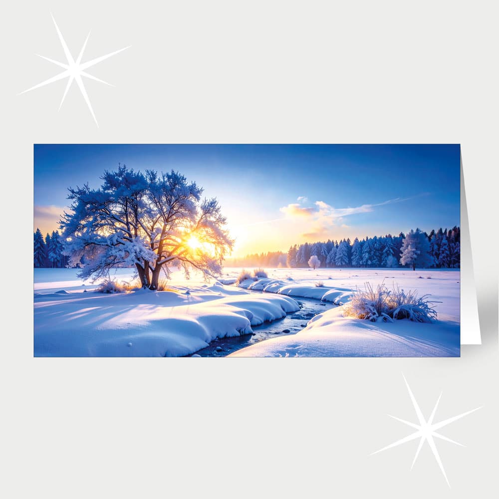 Winterquelle
