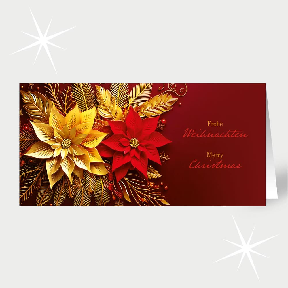 Weihnachtssternduo