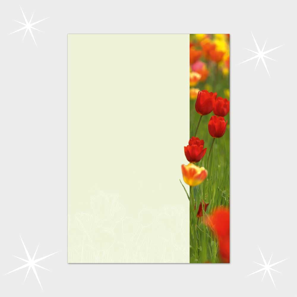 Glückwunschbriefpapier DIN A4  21 x 29,7 cm